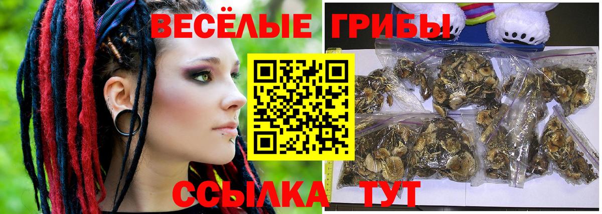 Псилоцибиновые грибы мицелий Тихорецк