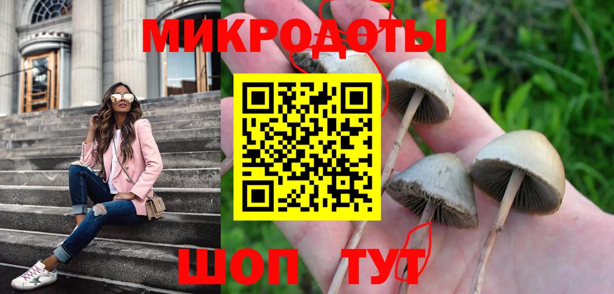 Тихорецк  Псилоцибиновые грибы мицелий  Вход с VPN 